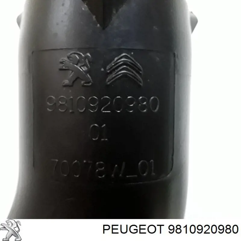 Купить 9677691780 Peugeot/Citroen Впускной патрубок воздушного фильтра