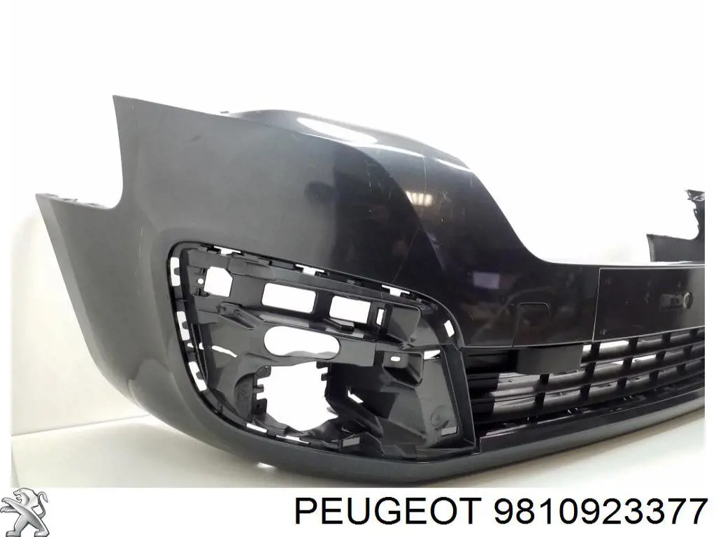  9810923377 Peugeot/Citroen