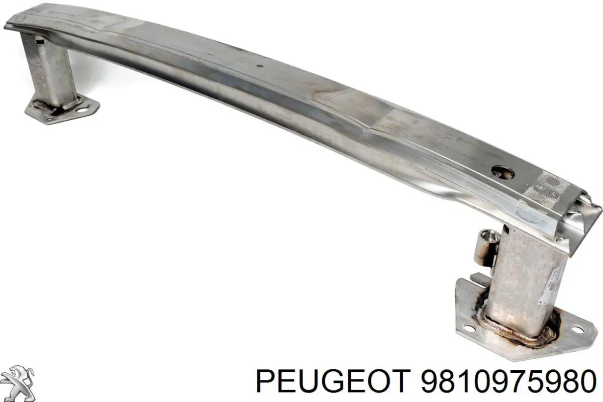 9810975980 Peugeot/Citroen 