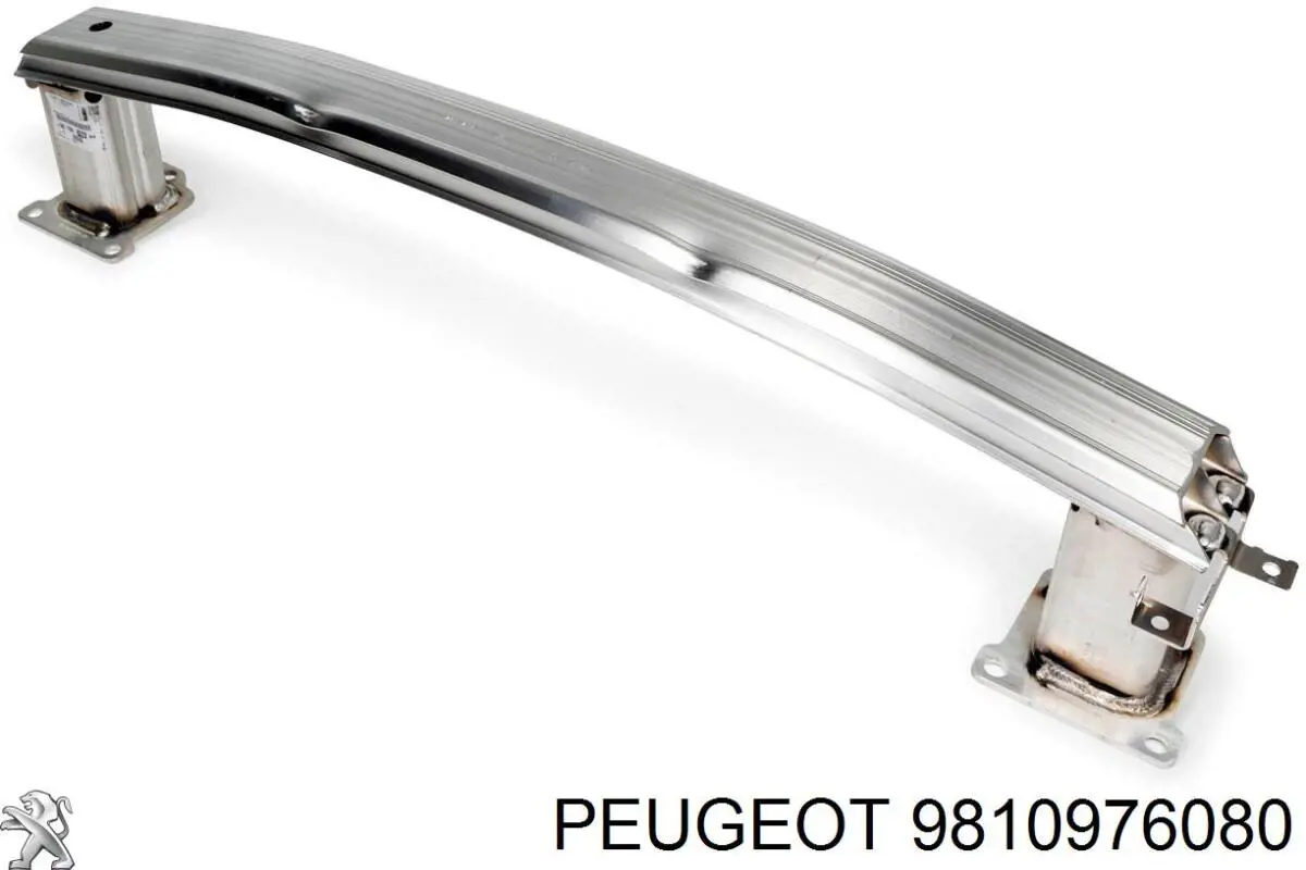 9810976080 Peugeot/Citroen 