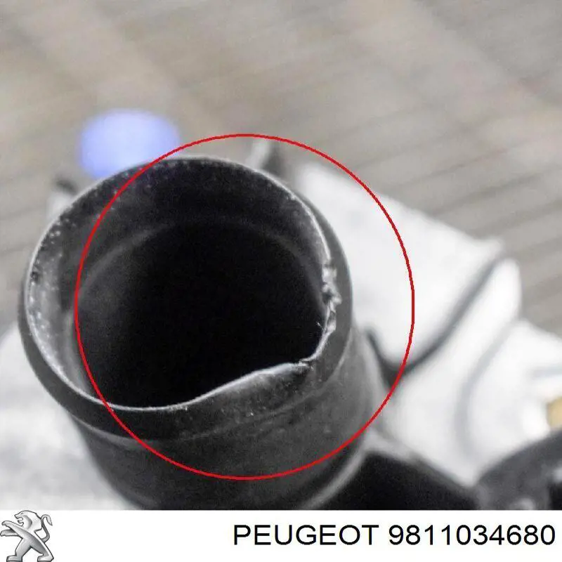 9811034680 Peugeot/Citroen 