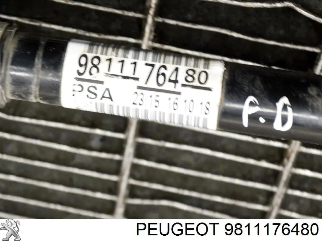 9811176480 Peugeot/Citroen 