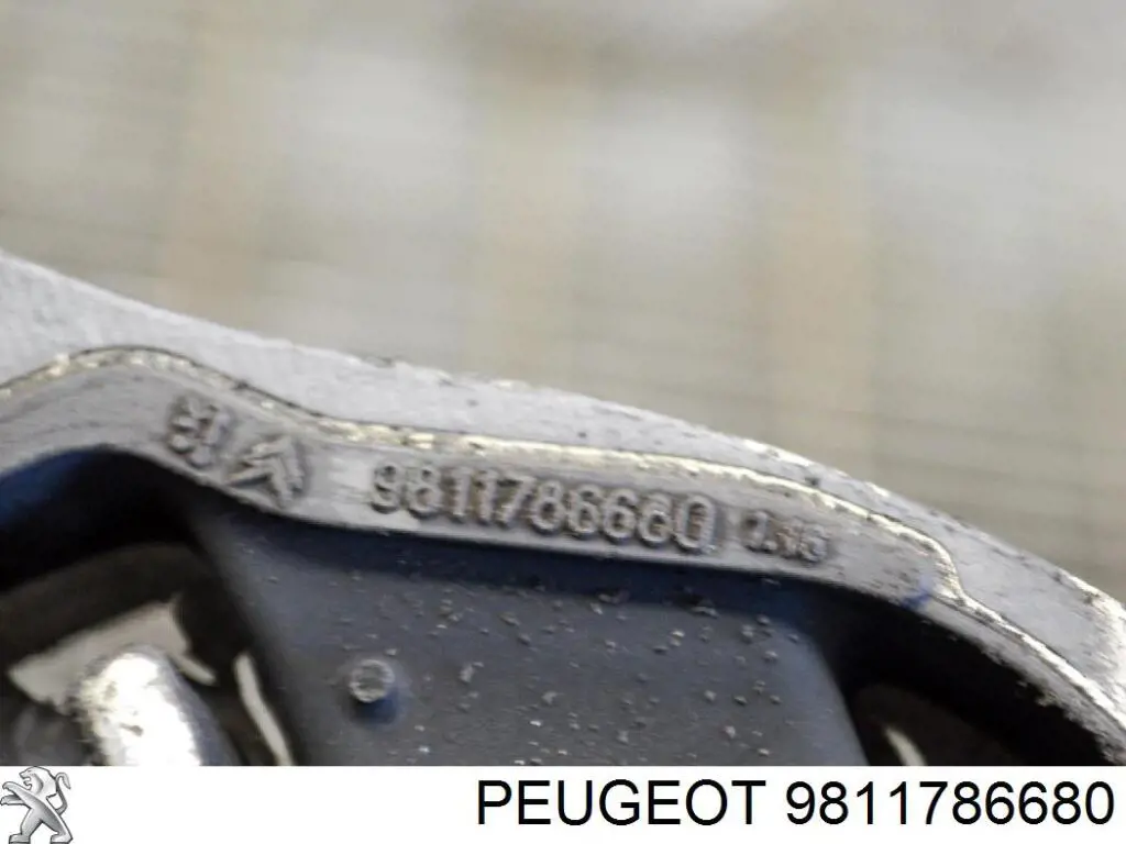 9811786680 Peugeot/Citroen