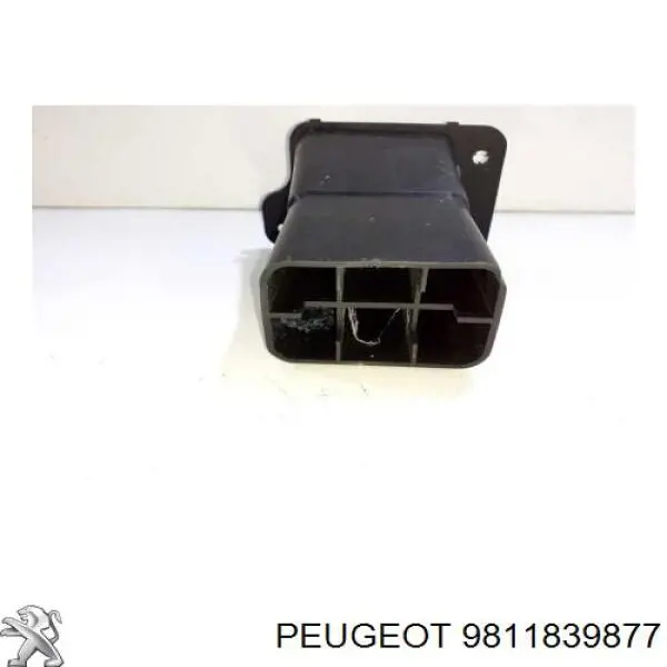 9811839877 Peugeot/Citroen