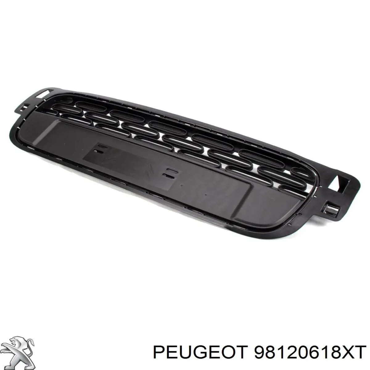  98120618XT Peugeot/Citroen