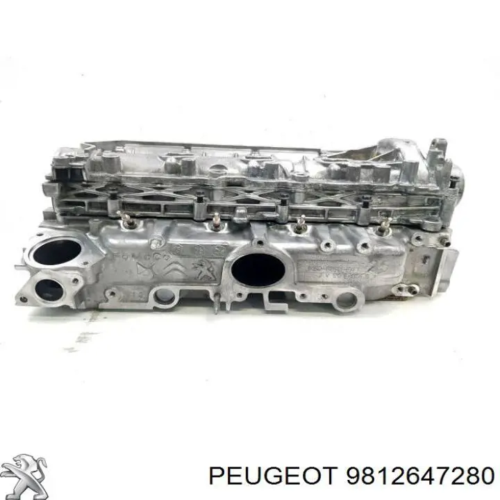 Крышка клапанная Peugeot/Citroen 9812647280