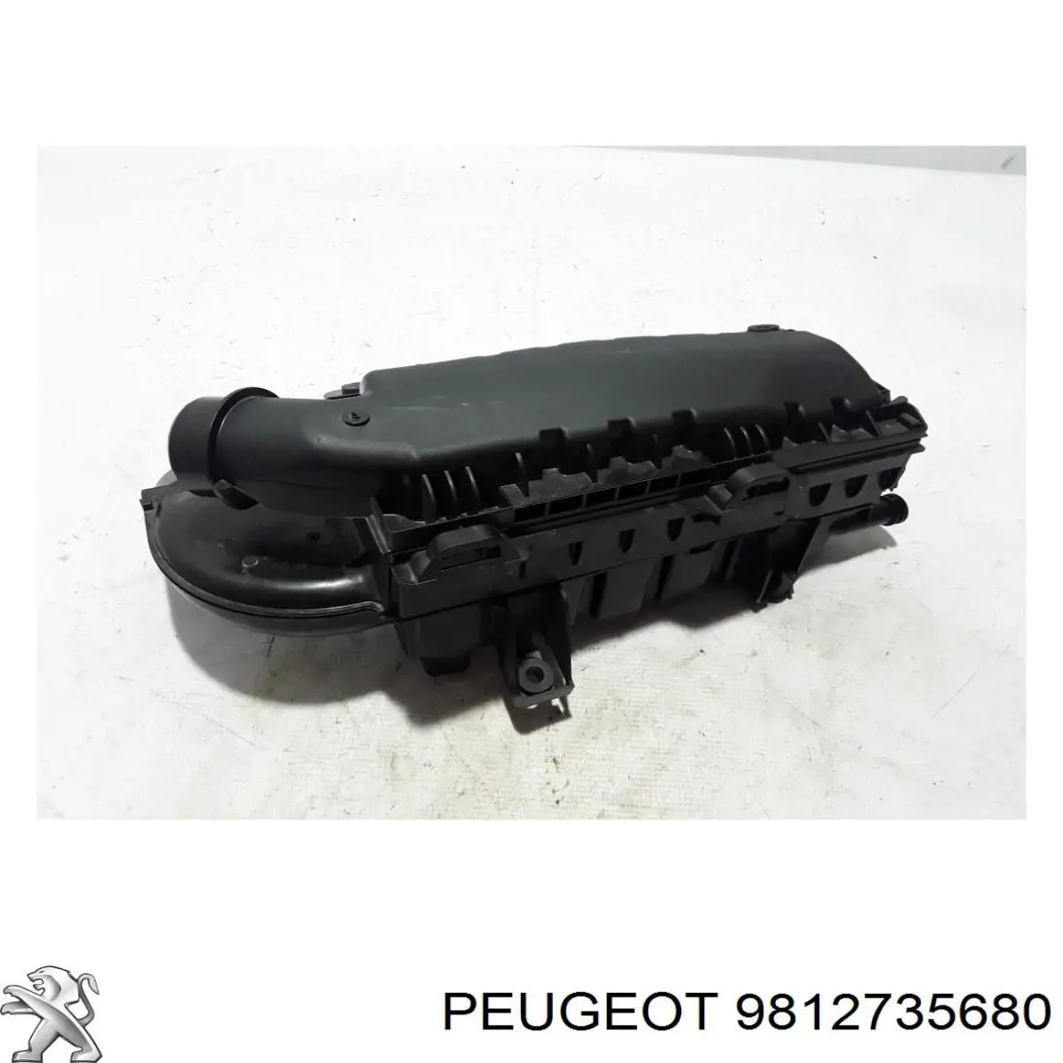 9812735680 Peugeot/Citroen Коробка фильтра