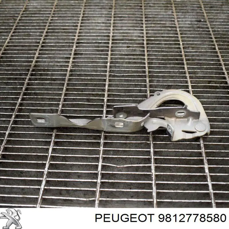 Капот Peugeot/Citroen 9812778580 цена, от 42.80 USD