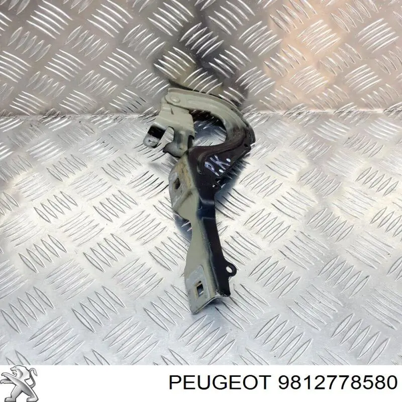 Купить 9812778580 Peugeot/Citroen Капот