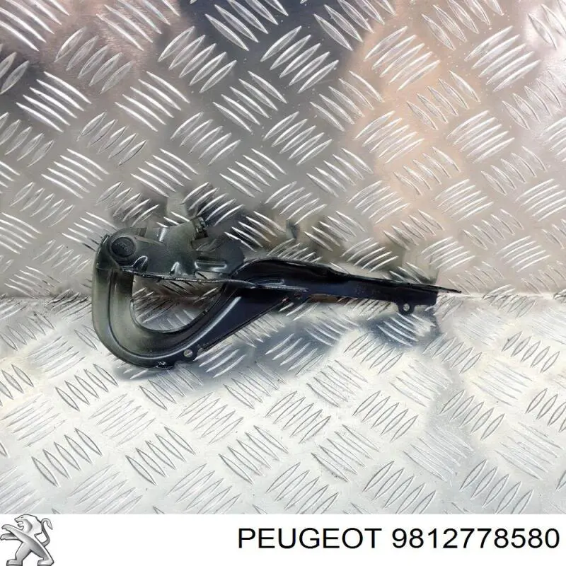 9812778580 Peugeot/Citroen Капот