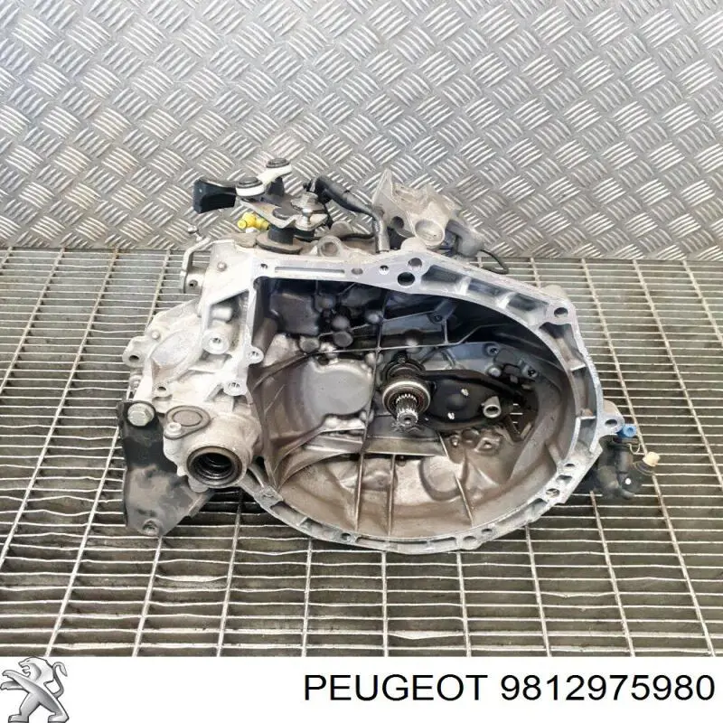 Купить 9812975980 Peugeot/Citroen 