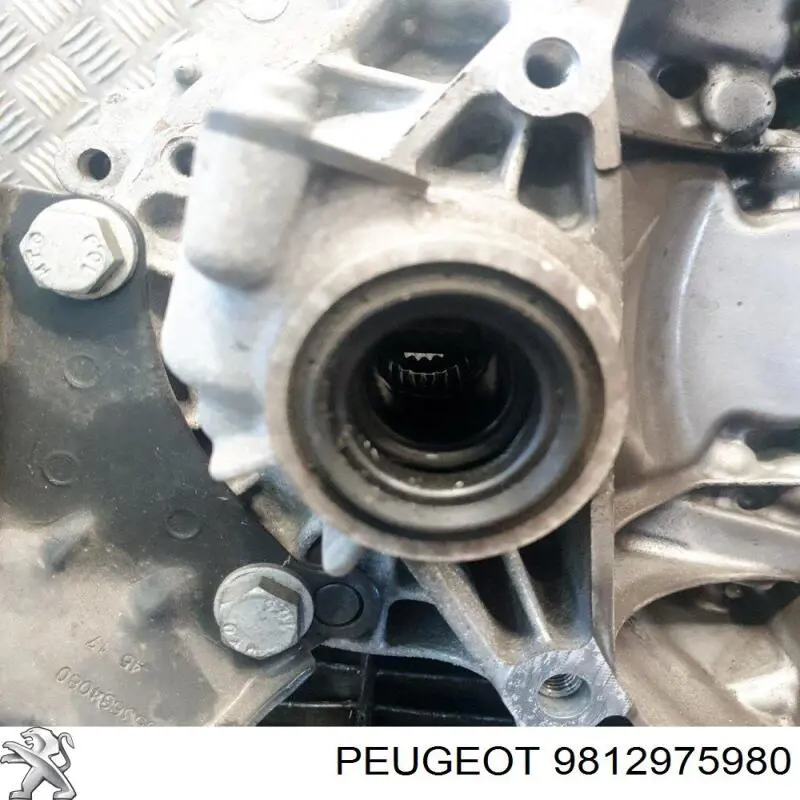9812975980 Peugeot/Citroen 