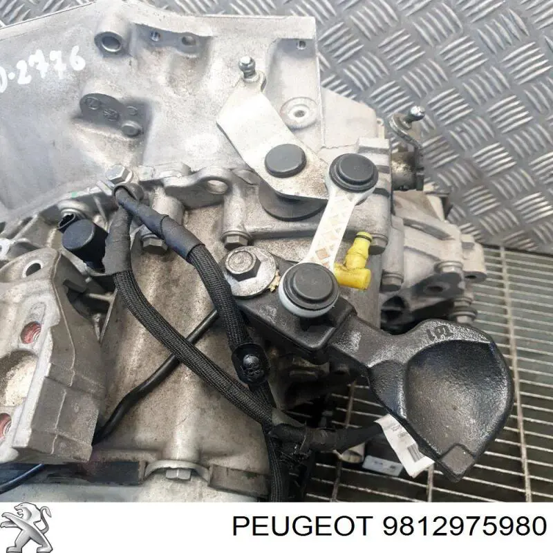  Peugeot/Citroen 9812975980 цена, от 66.65 USD