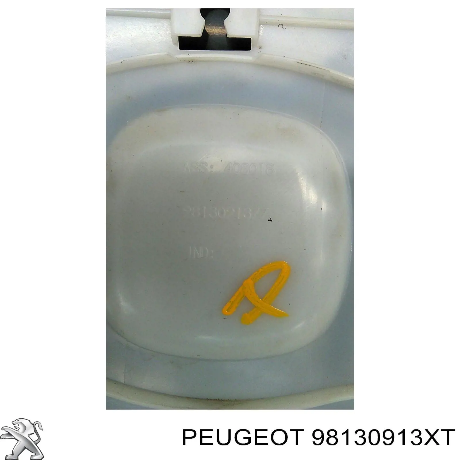 Молдинг двери передней левой Peugeot/Citroen 98130913XT цена, от 158.37 USD