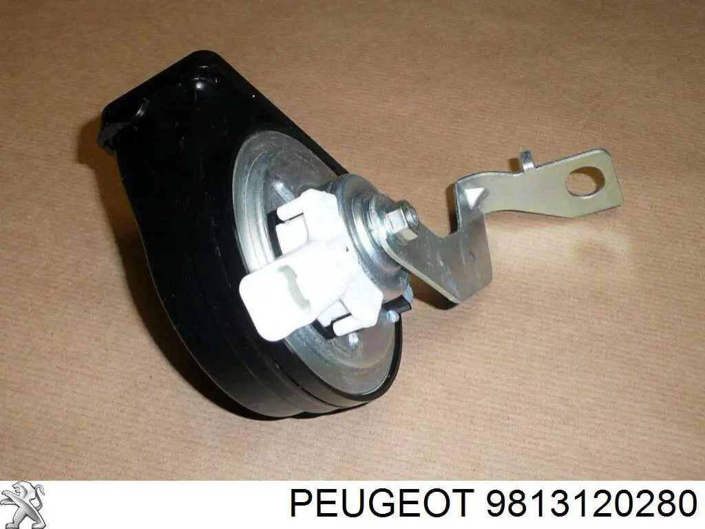  9813120280 Peugeot/Citroen