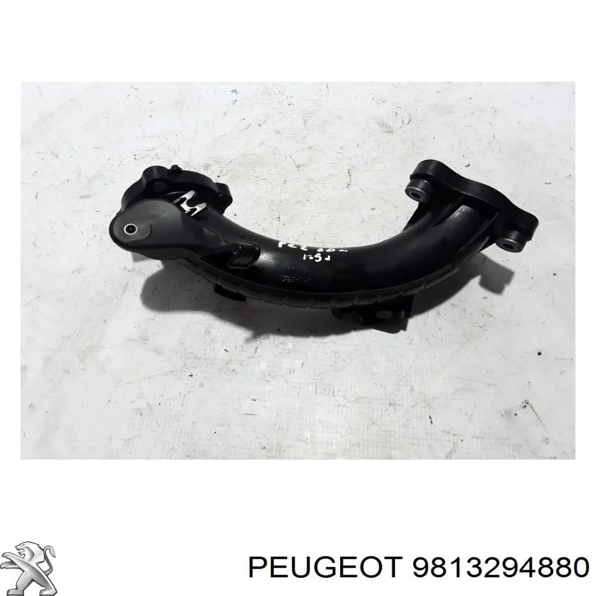 9813294880 Peugeot/Citroen cano derivado de ar, da válvula de borboleta