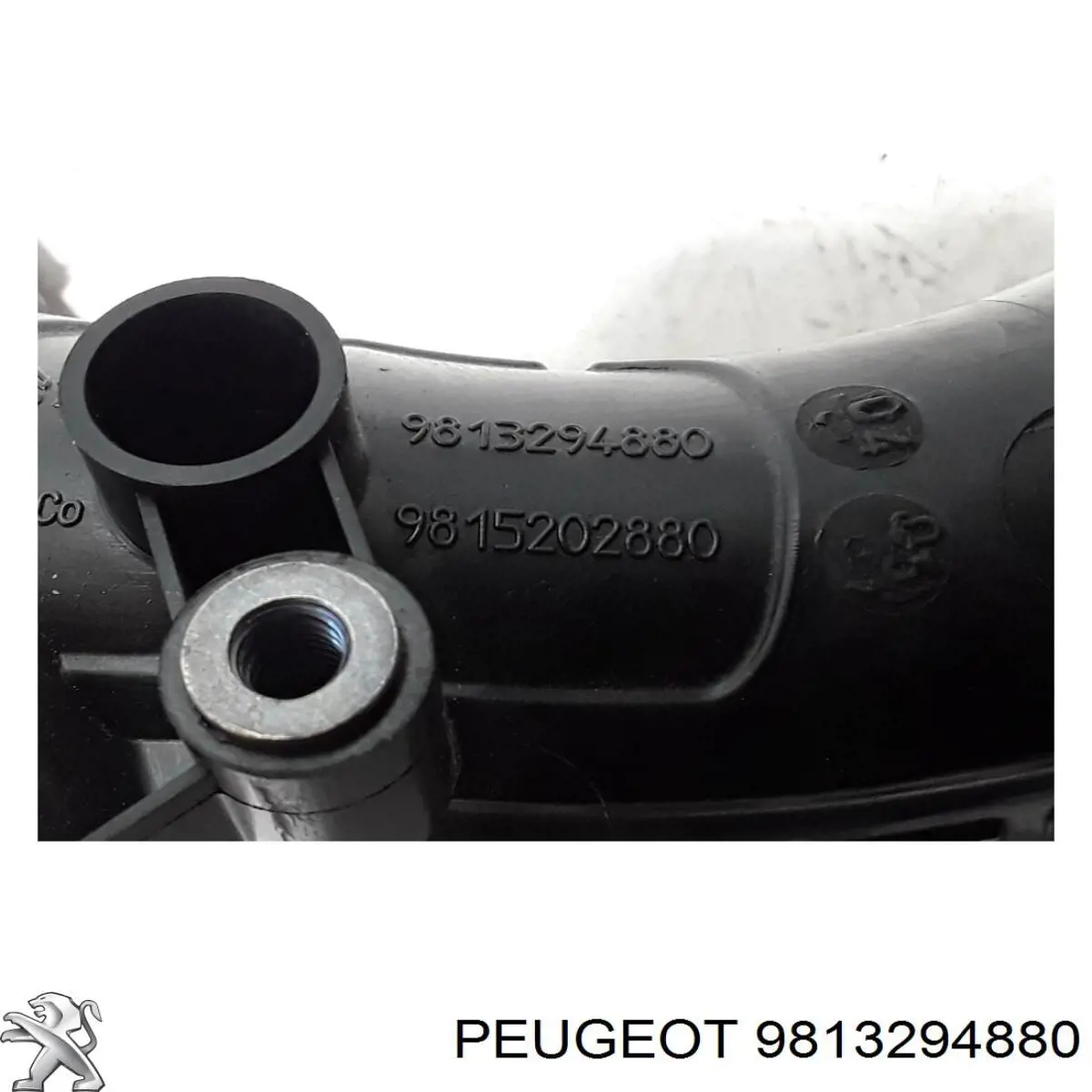 Tubo flexible de aspiración, cuerpo mariposa 9813294880 Peugeot/Citroen