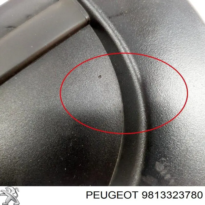  9813323780 Peugeot/Citroen