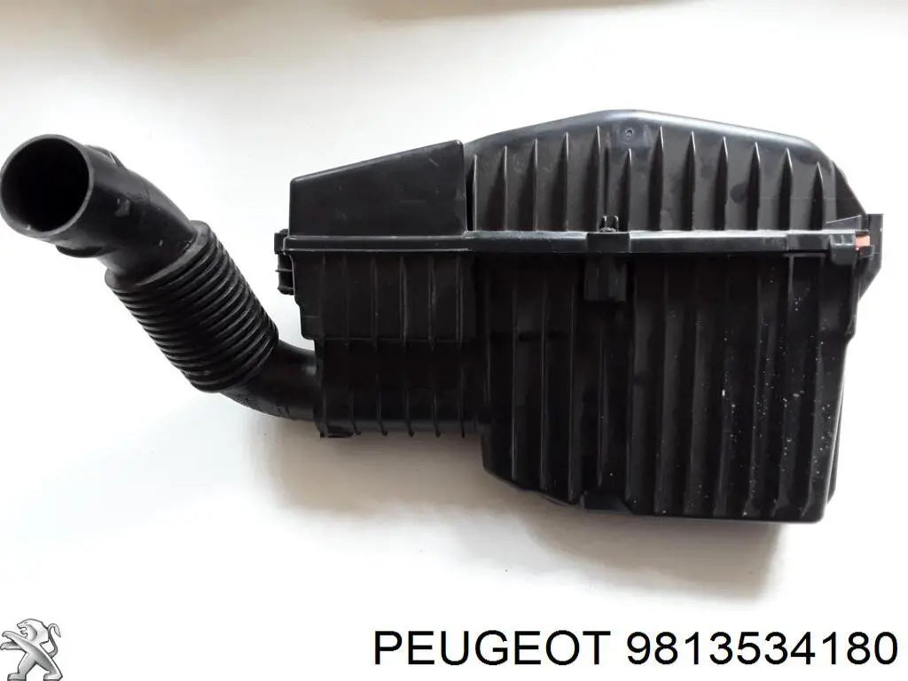 9813534180 Peugeot/Citroen 