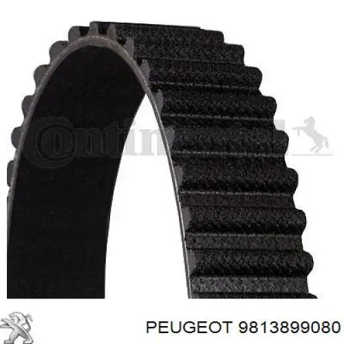 T43281 Gates 