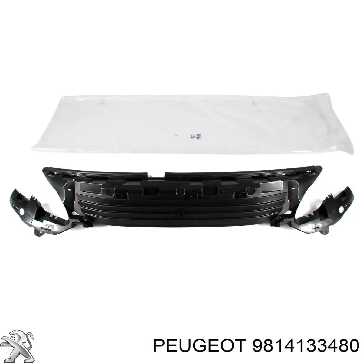  9814133480 Peugeot/Citroen