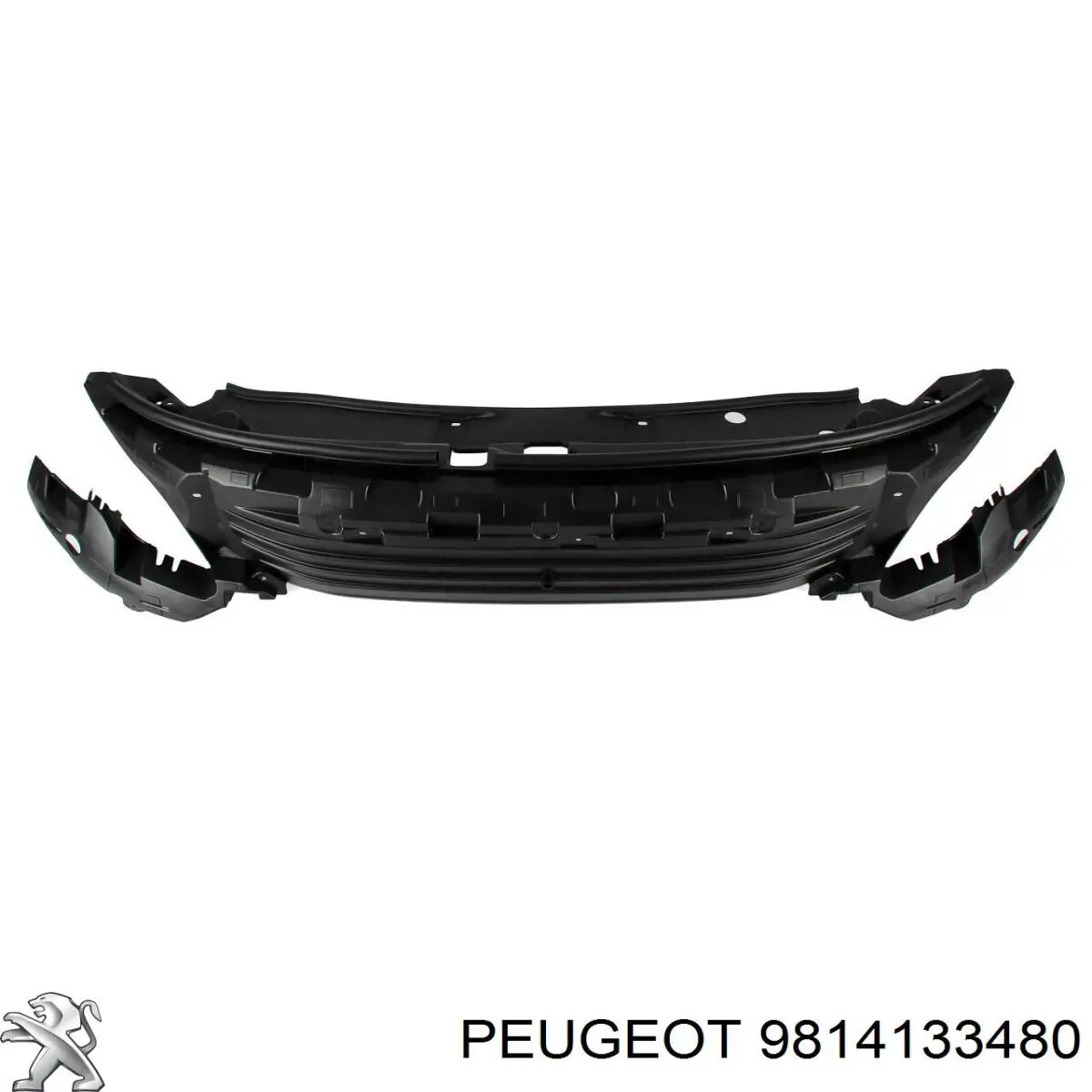 Купить PPG43050CA Signeda 