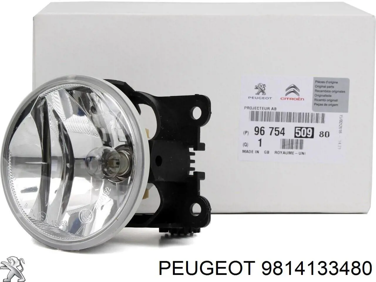  PPG43050CA Signeda
