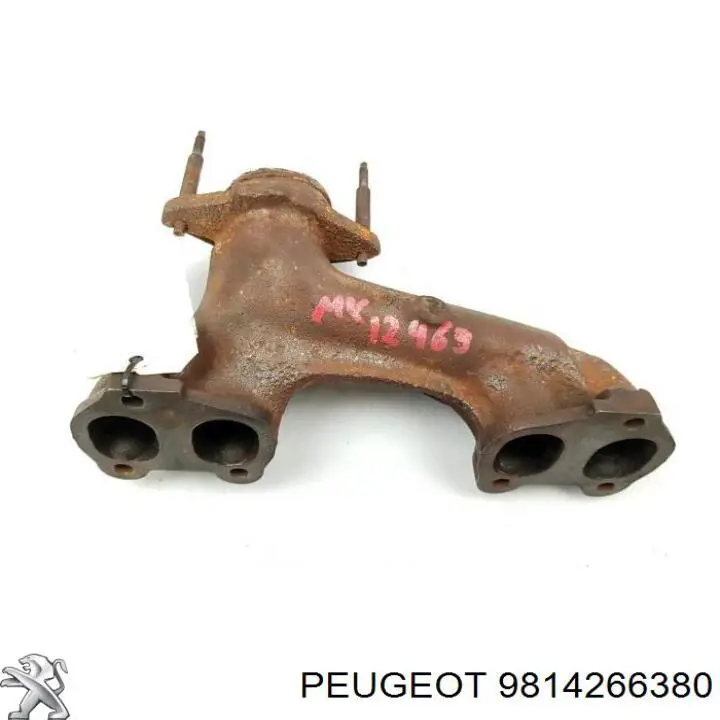 9814266380 Peugeot/Citroen 