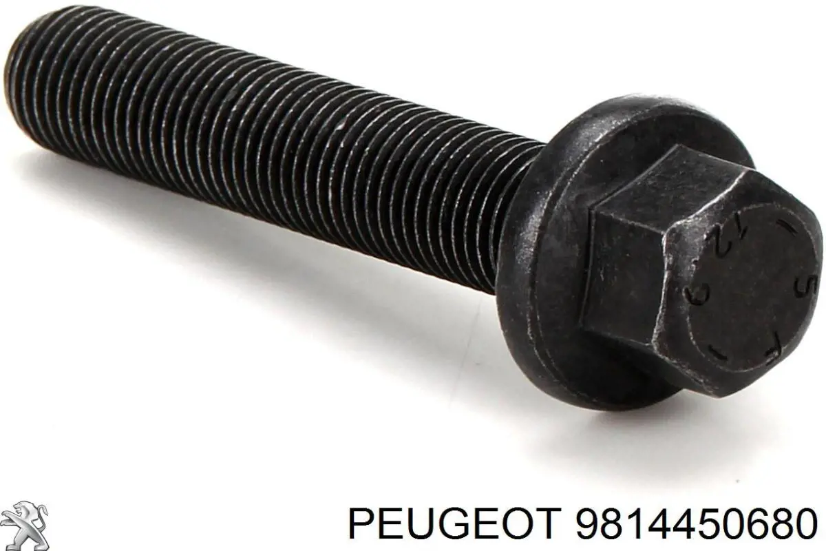 Прокладка передней крышки двигателя верхняя Corteco 49115982 цена, от 3.96 USD