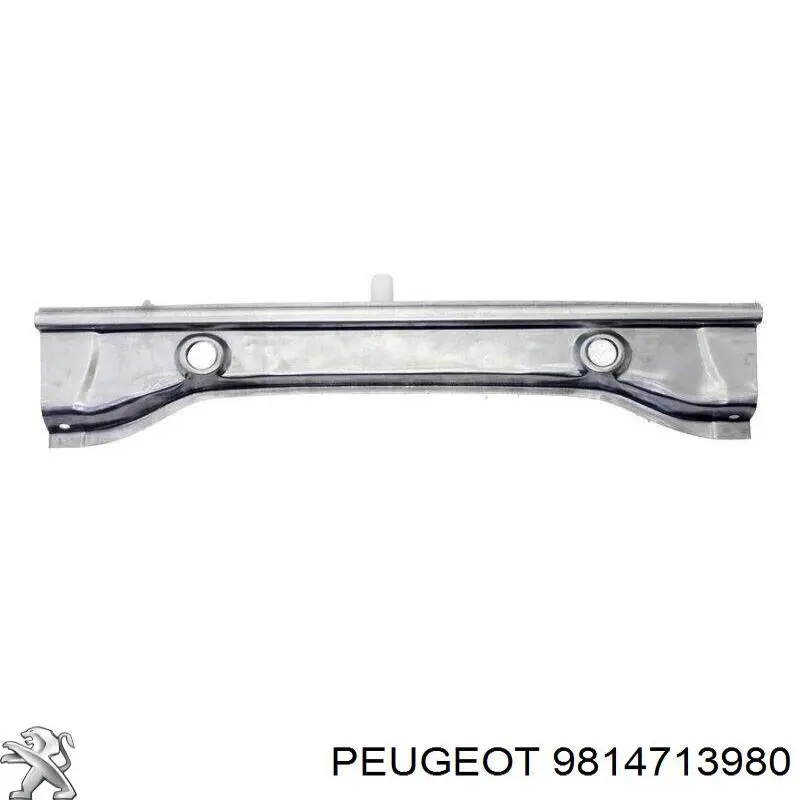 9814713980 Peugeot/Citroen 