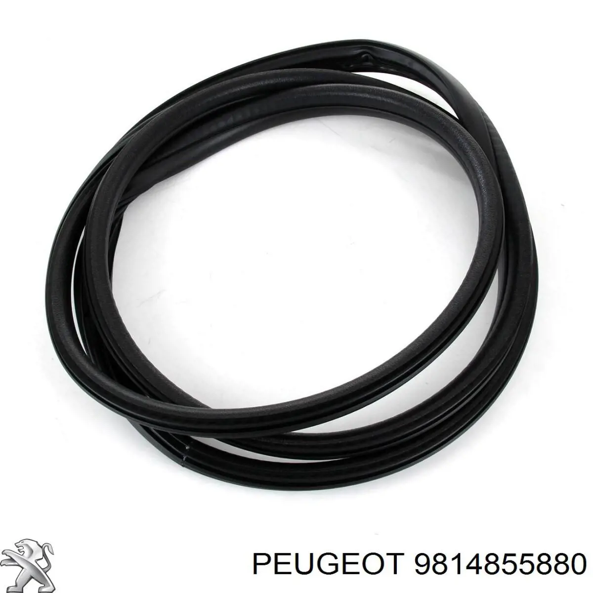 Купить 9814855880 Peugeot/Citroen Уплотнитель двери передней (на кузове)