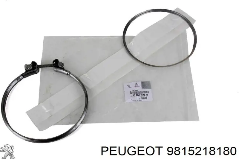 Válvula (atuador) de controlo de turbina Peugeot/Citroen 9815218180