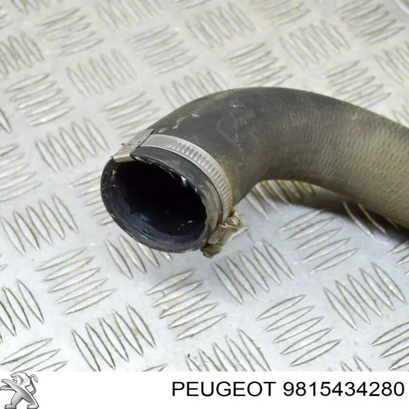 9815434280 Peugeot/Citroen Патрубок интеркуллера