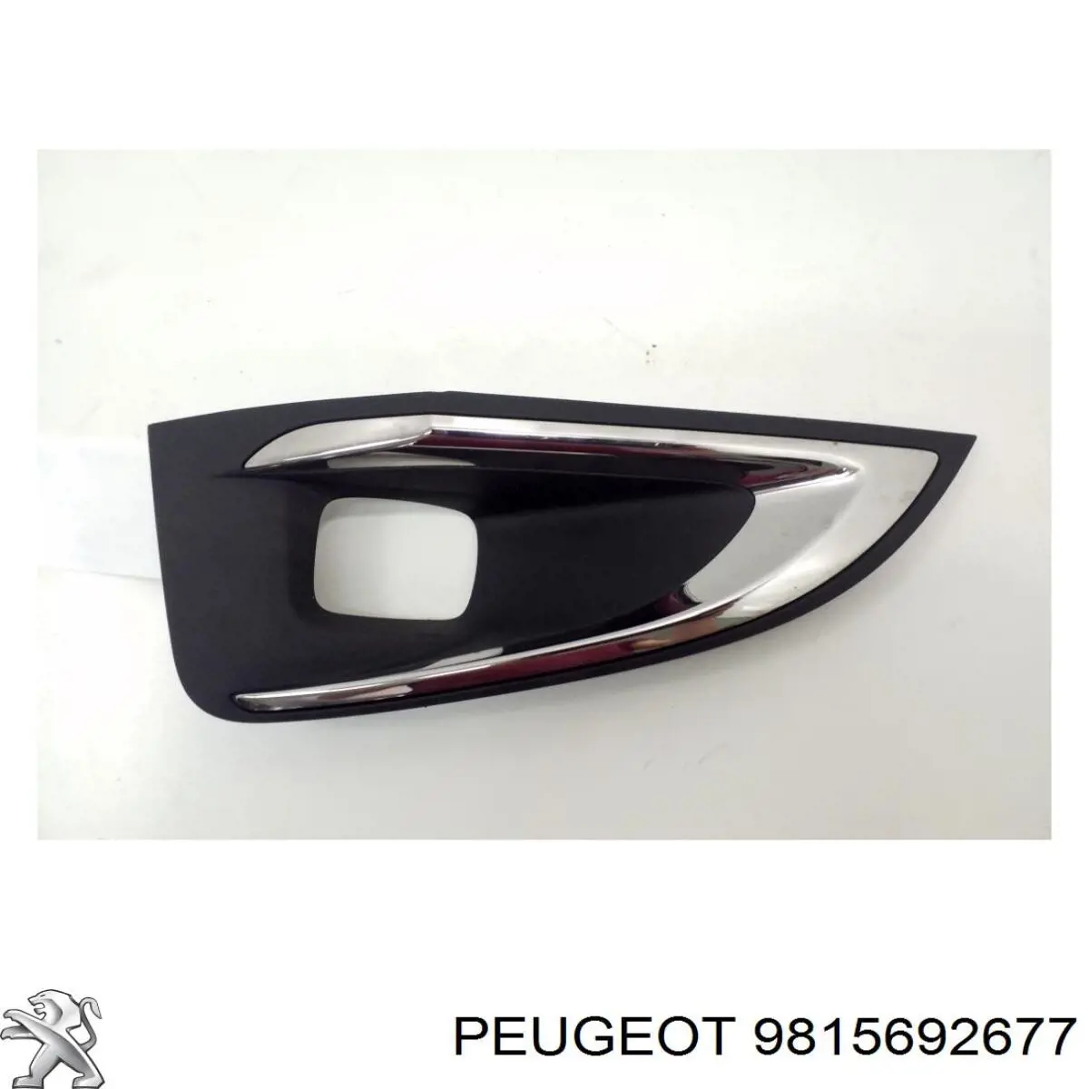  9815692677 Peugeot/Citroen