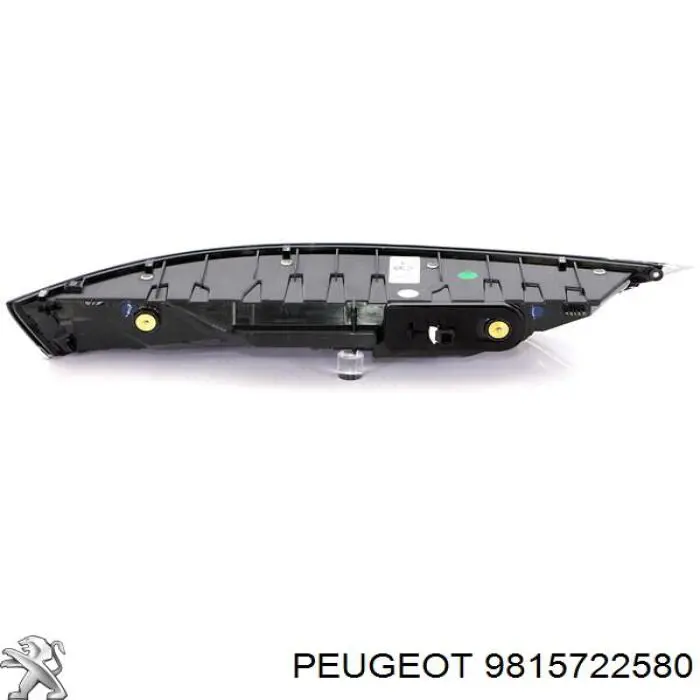 9815722580 Peugeot/Citroen 