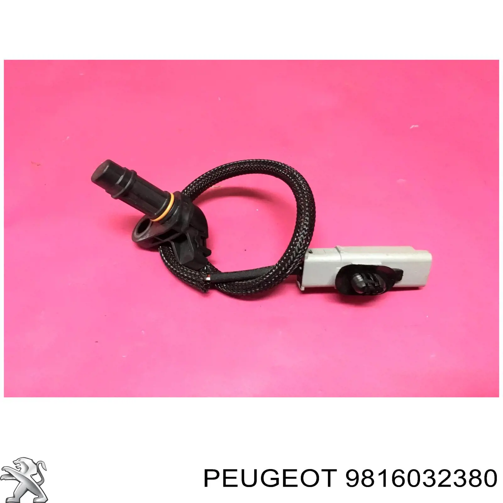 9689007680 Peugeot/Citroen 