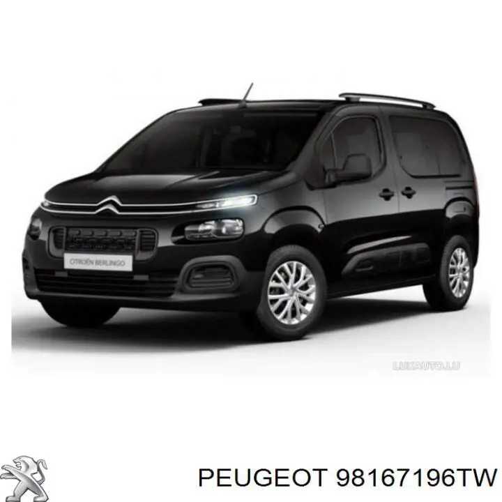 98167196TW Peugeot/Citroen 