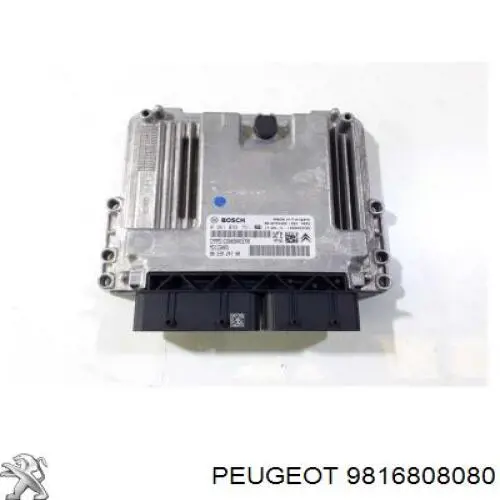 6508060554934P 4max Правое крепление заднего бампера