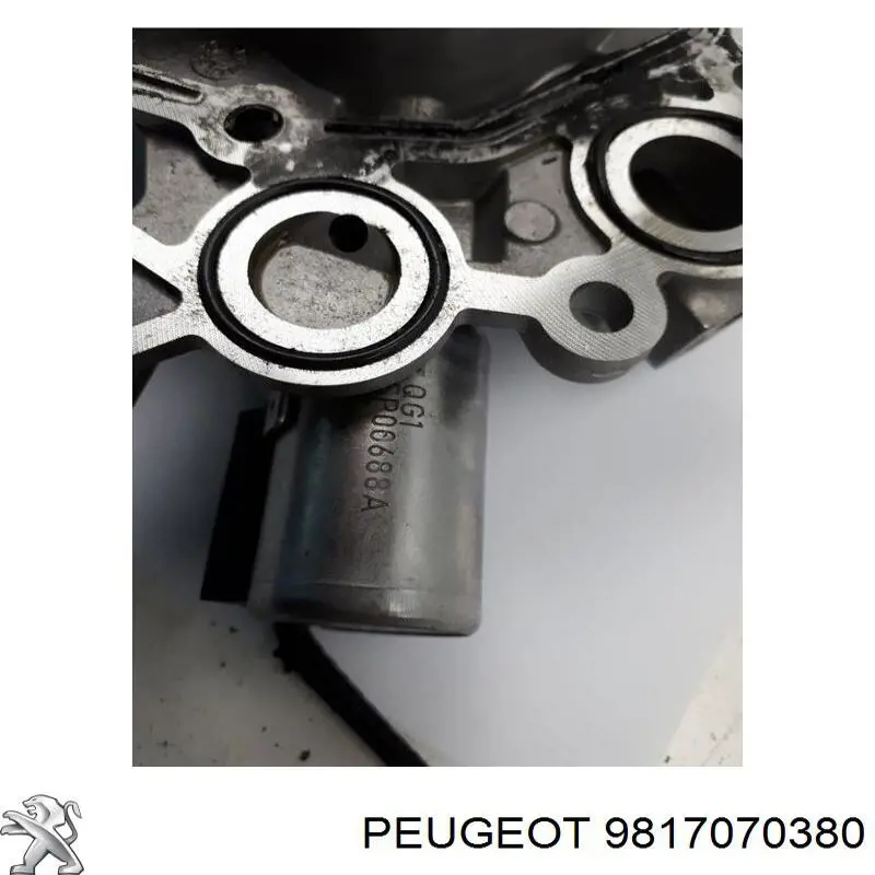 Válvula para mantener la presión de aceite 9817070380 Peugeot/Citroen