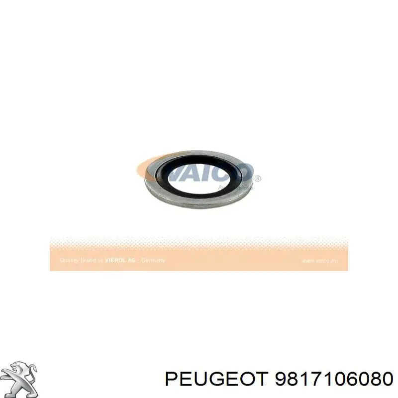  9817106080 Peugeot/Citroen