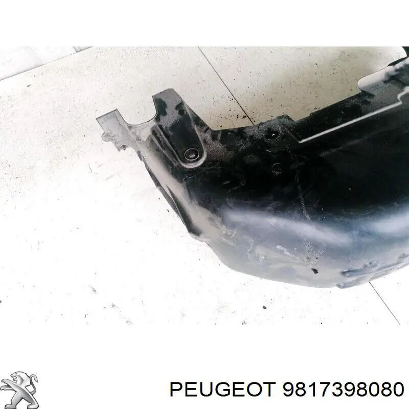 9817398080 Peugeot/Citroen 