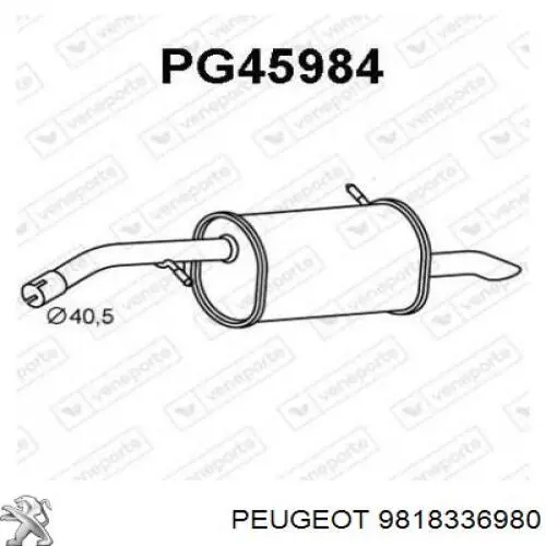  9818336980 Peugeot/Citroen