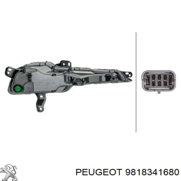 9818341680 Peugeot/Citroen Передний фонарь указателя поворота