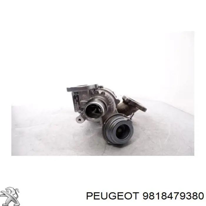 9818479380 Peugeot/Citroen turbina