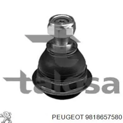 9818657580 Peugeot/Citroen suporte de esfera inferior