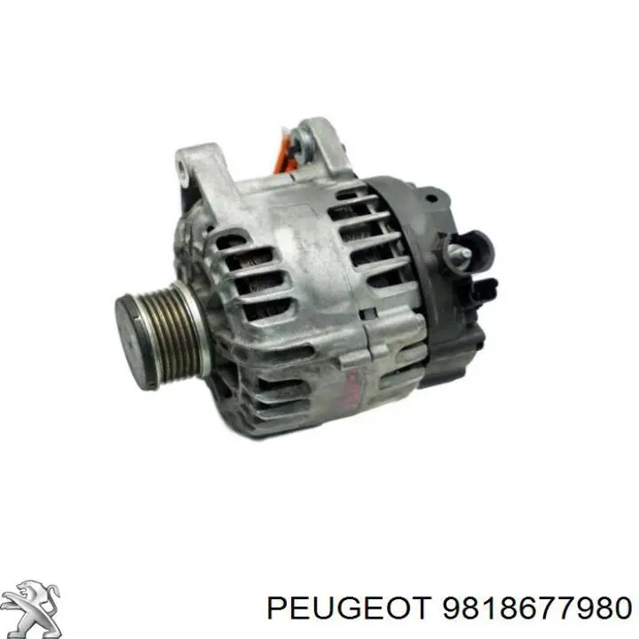 9818677980 Peugeot/Citroen gerador