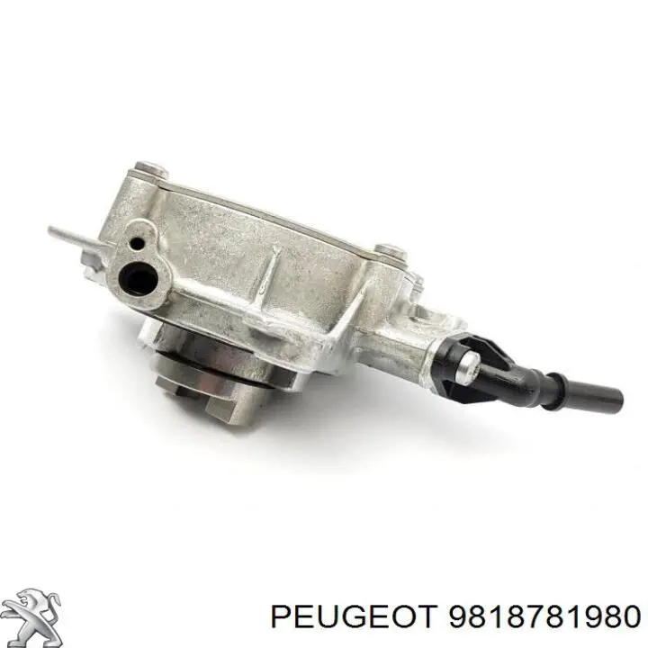 9818781980 Peugeot/Citroen 