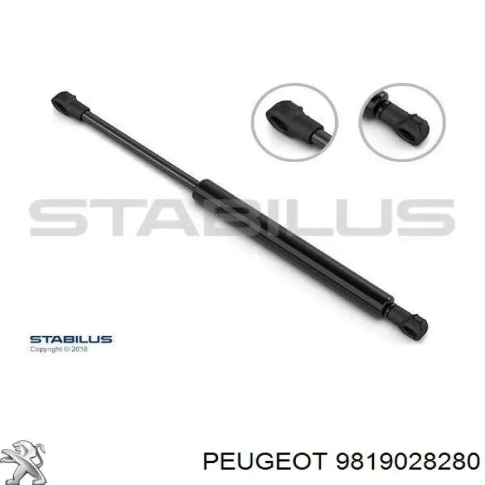 9819028280 Peugeot/Citroen 