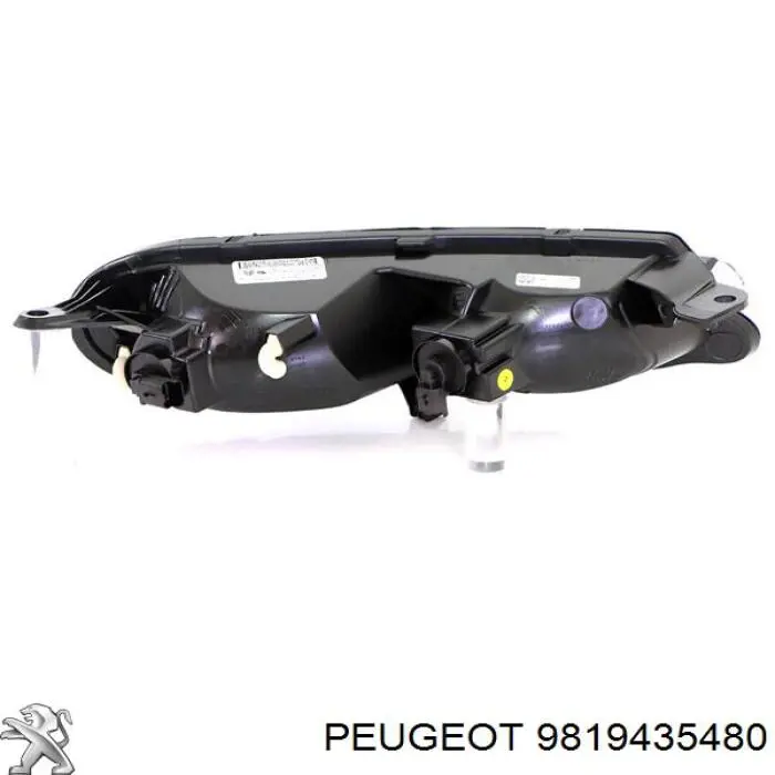 9819435480 Peugeot/Citroen 