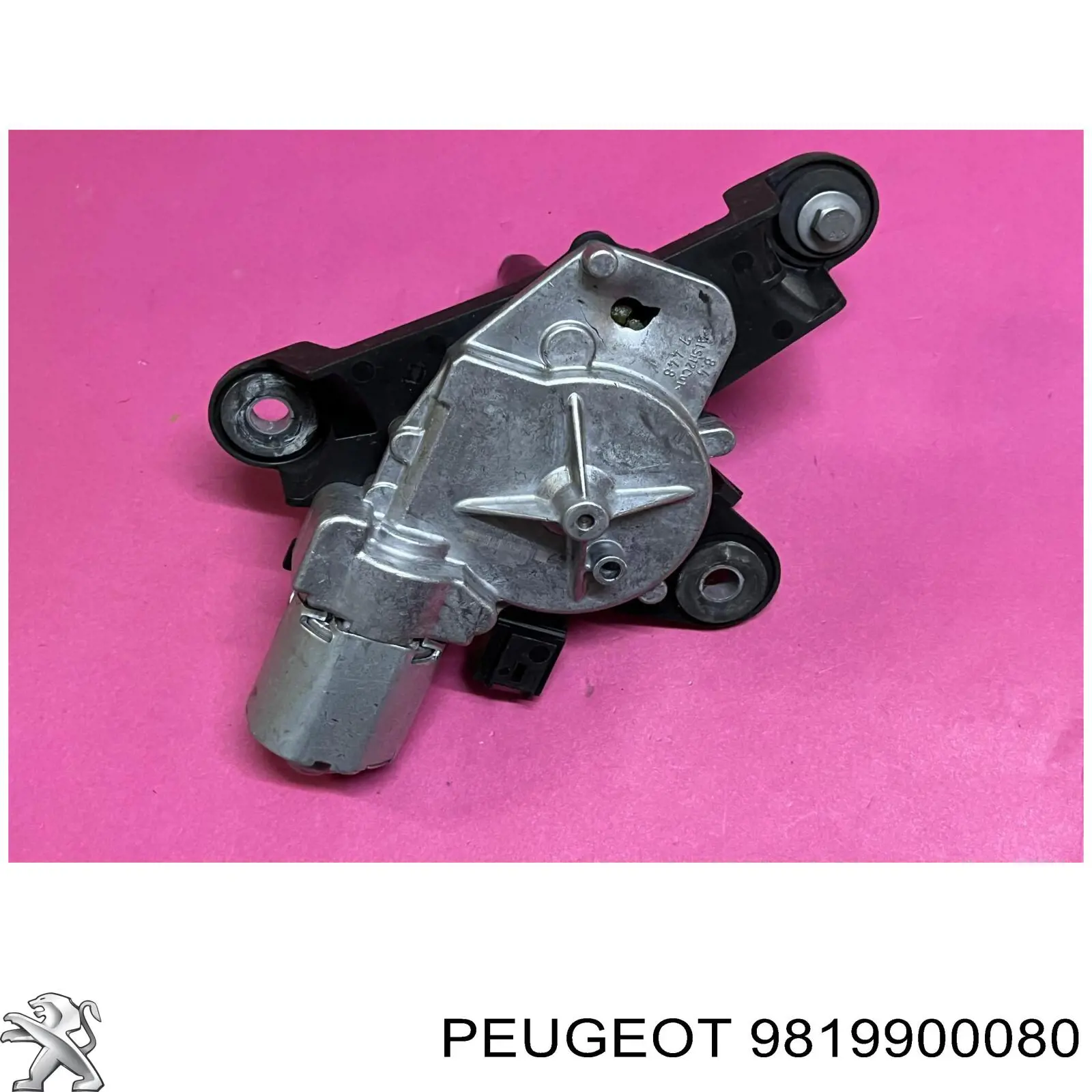 9819900080 Peugeot/Citroen 